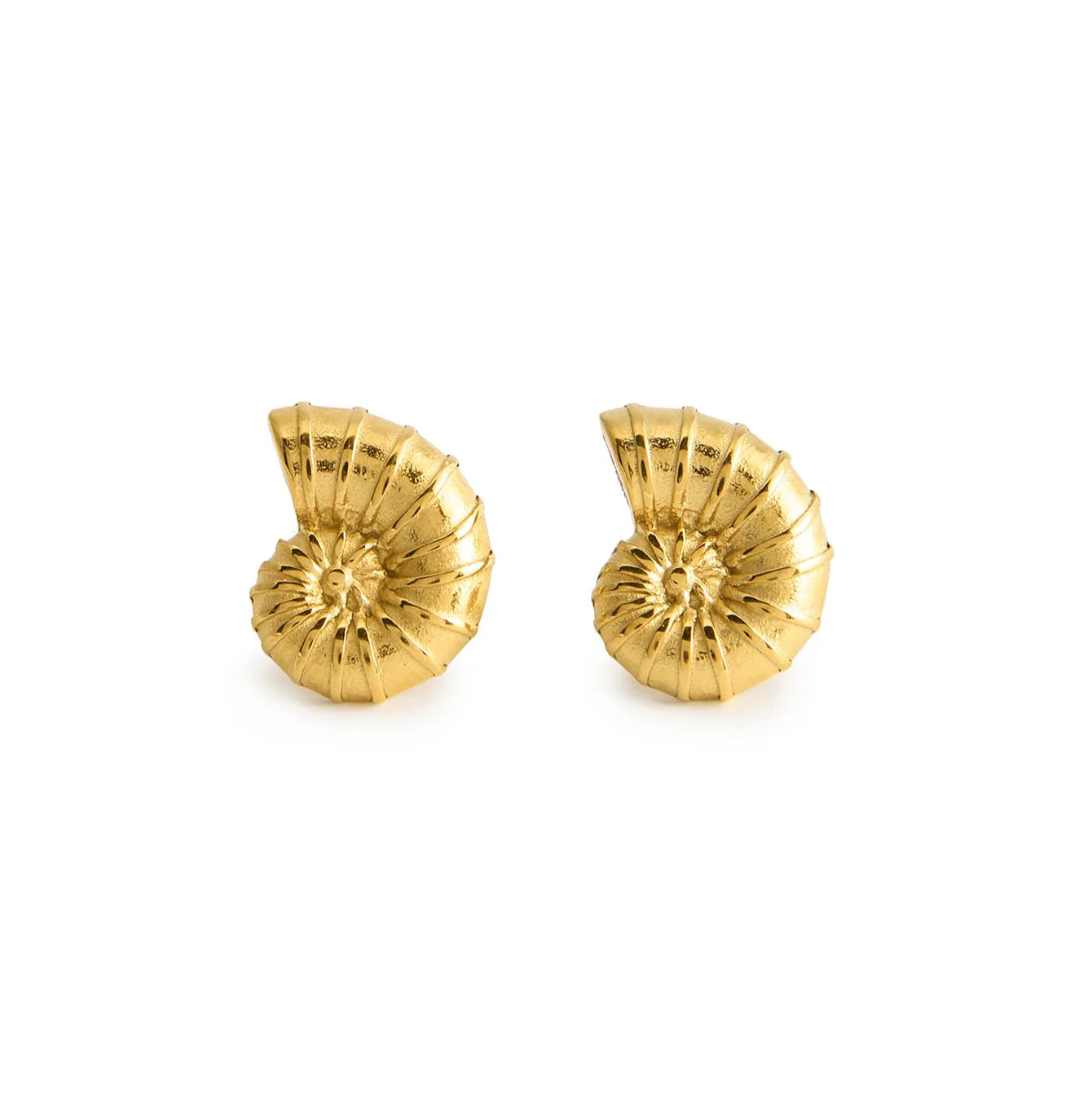 Ariel Shells Minis