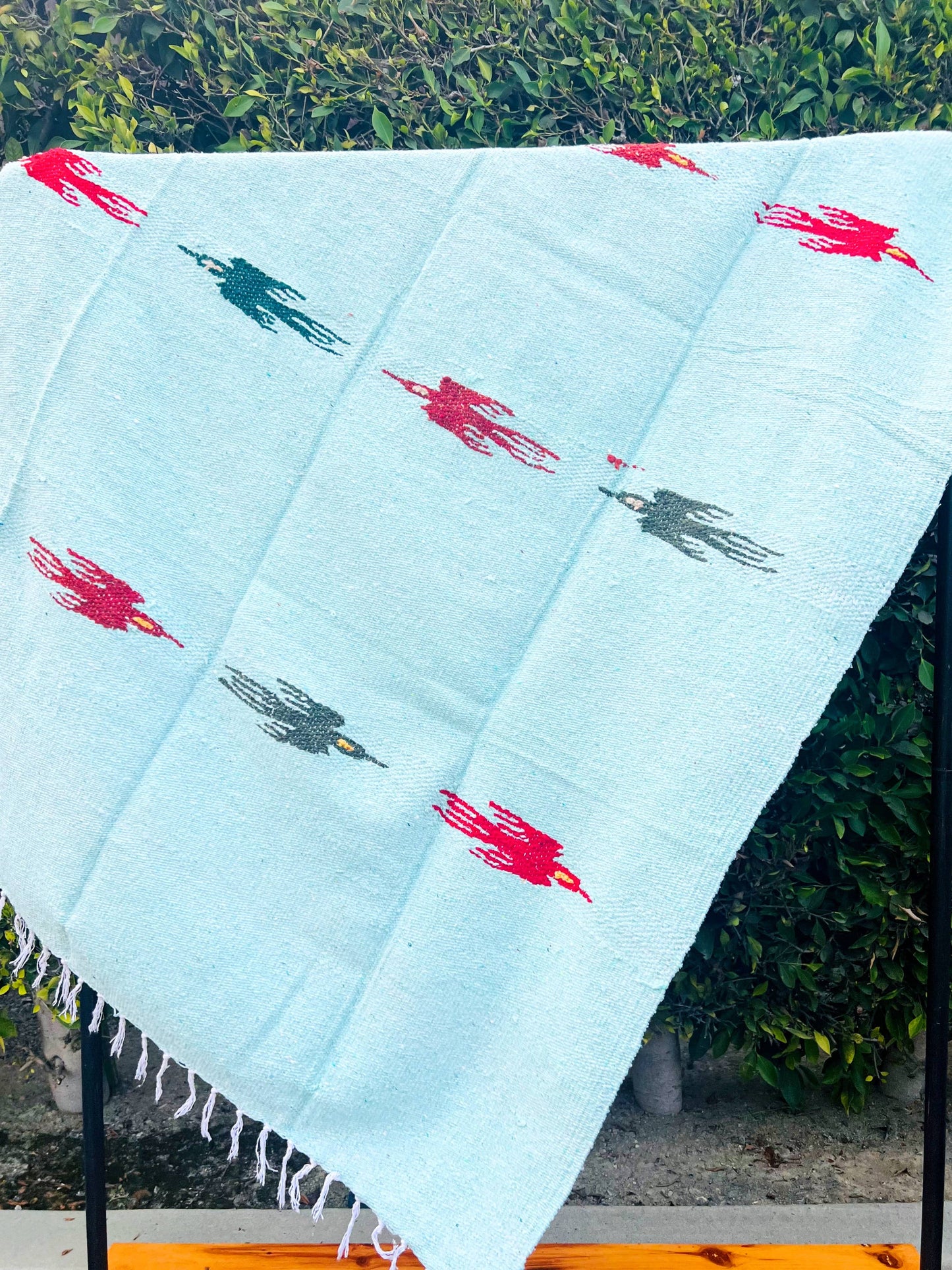 Thunderbird Mint l Mexican Blanket