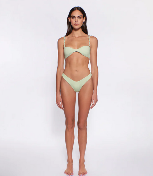 Shelley | Bikini Bottom