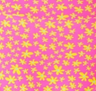 Berry Blush
