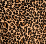 Cougar